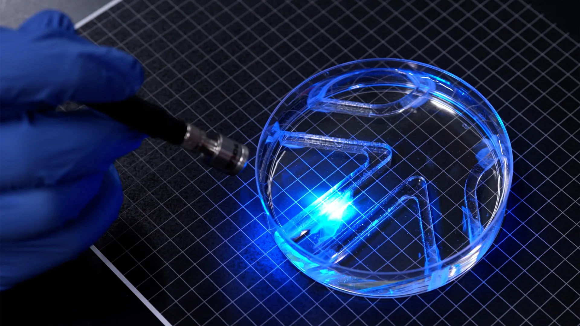 MIT's Swimming Robot Runs on Living Muscle