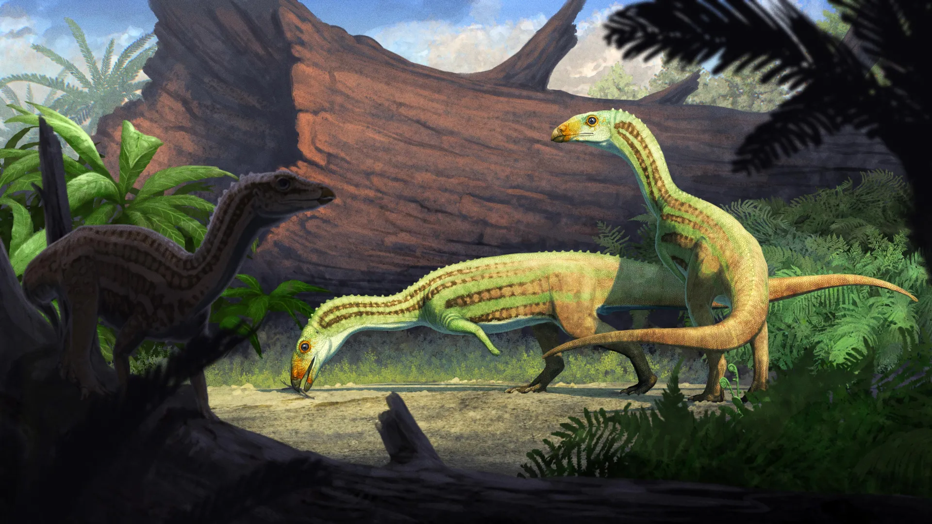 Ancient Reptile Walked on Two Legs