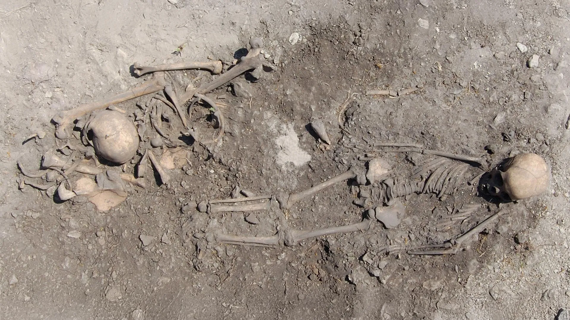 Ancient DNA Solves 5,500 Year Old Burial Mystery in Sweden