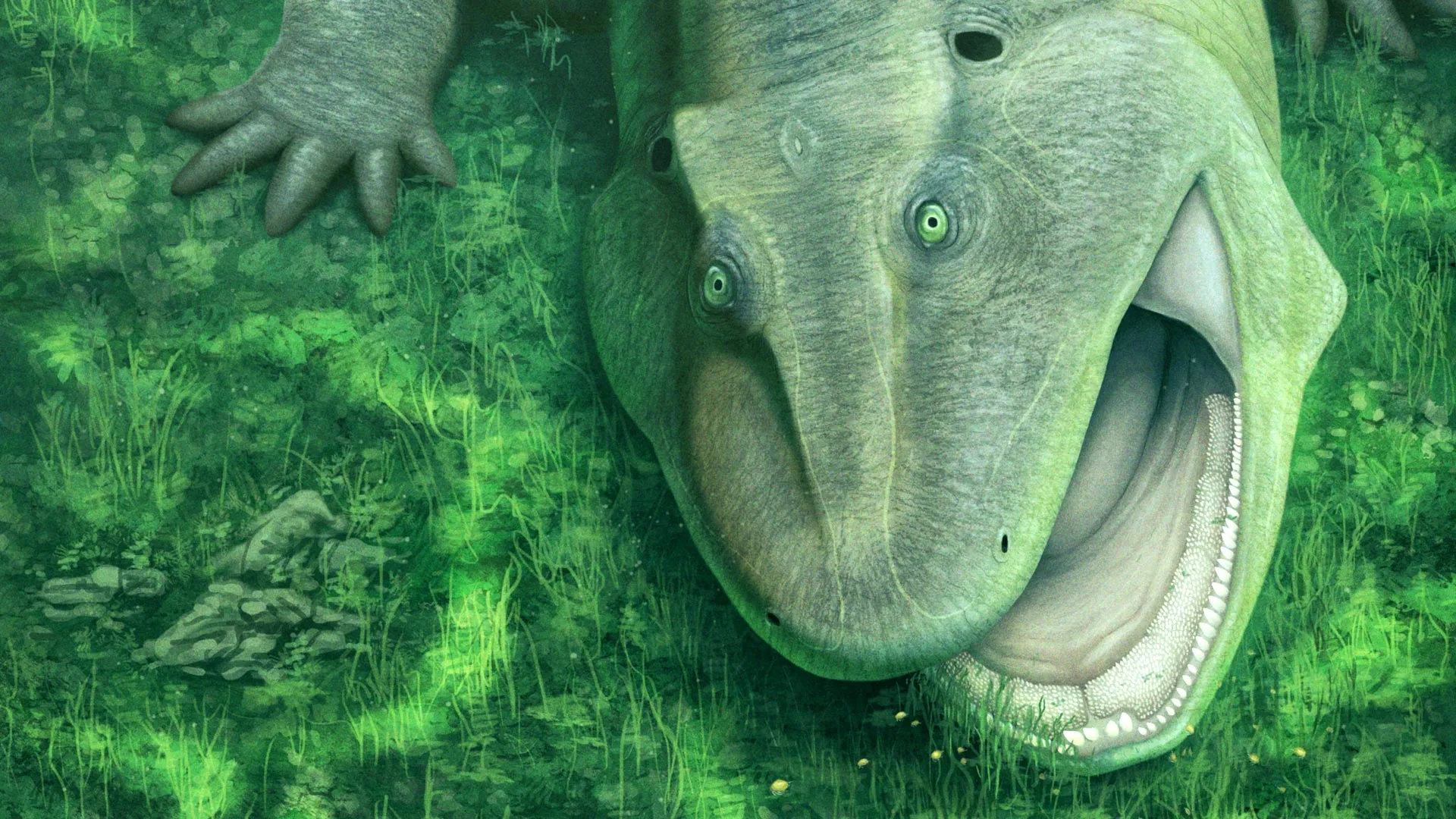 Twisted-Jaw Fossil Baffles Scientists