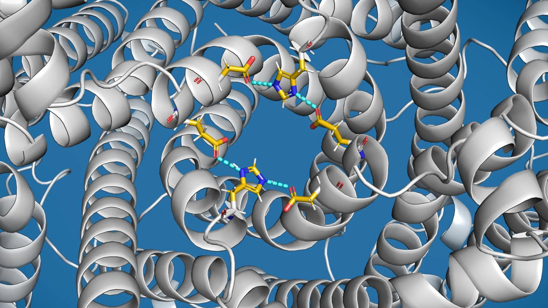 Overflow Valve Linked to Parkinson’s Disease