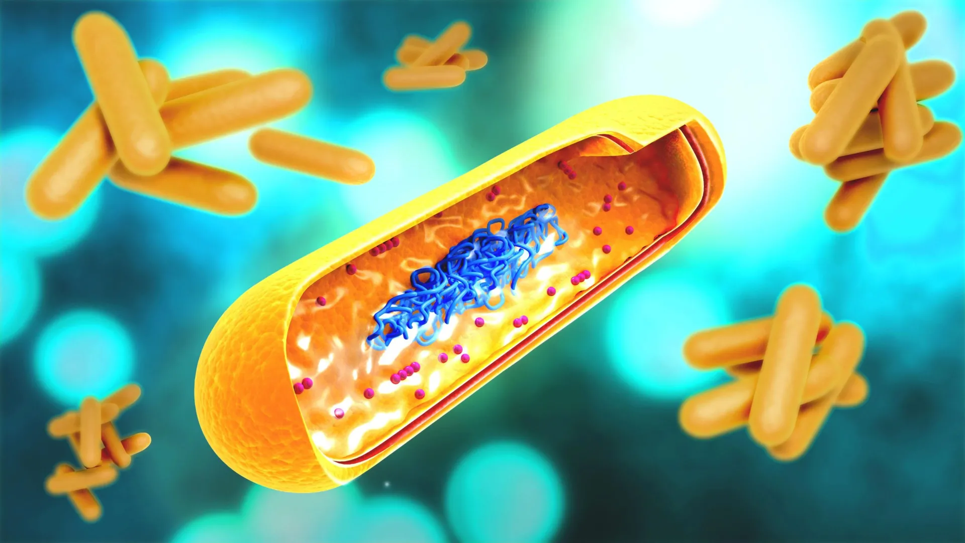 Nose Spray DNA Vaccine for Tuberculosis