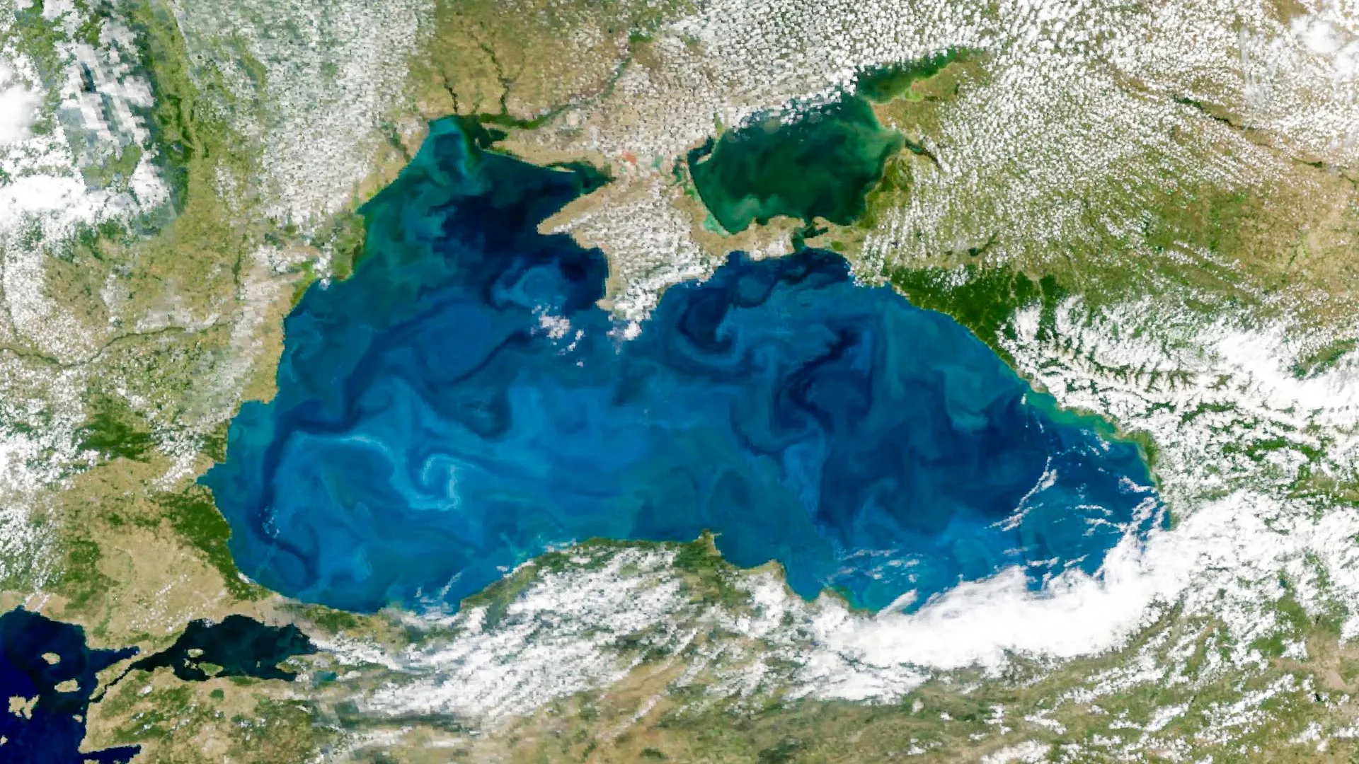 A Turquoise Tint for the Black Sea