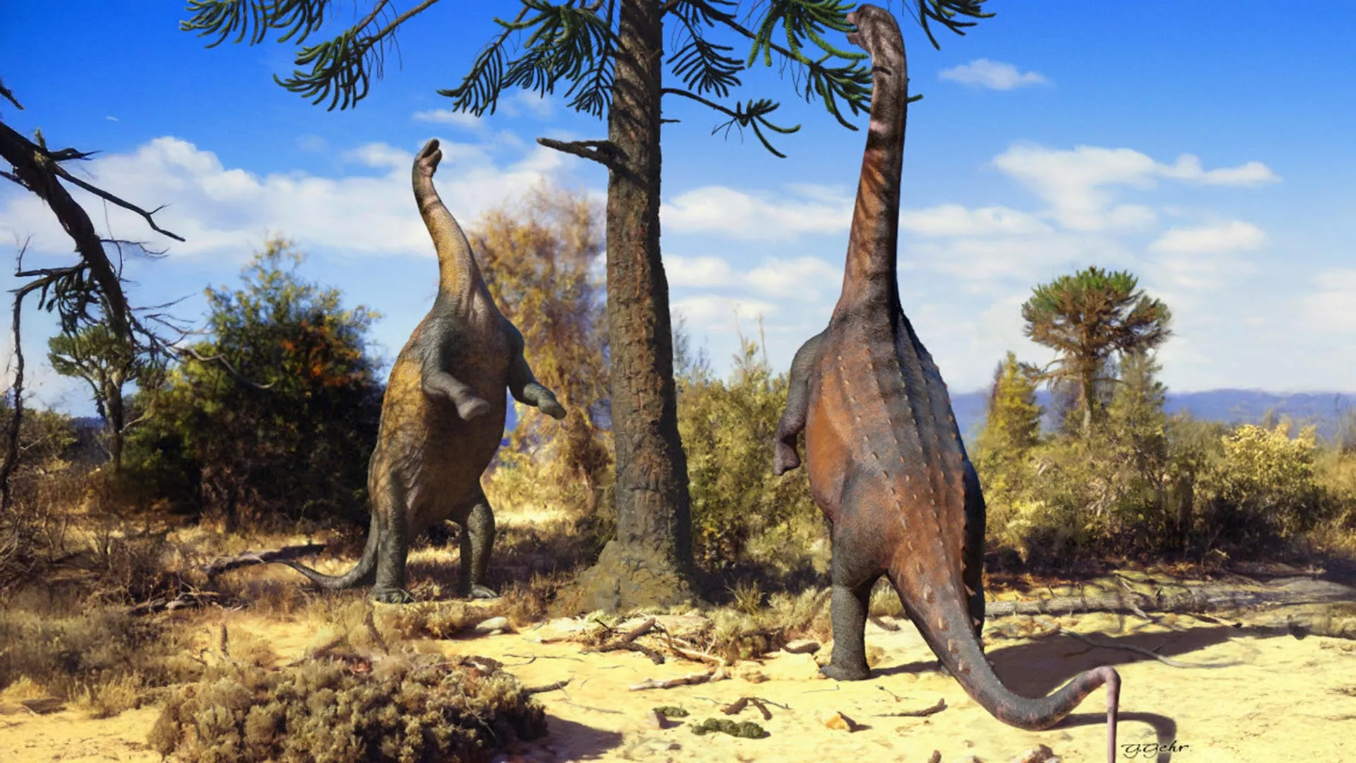 Some dinosaurs could rise up like giants — until they grew too big