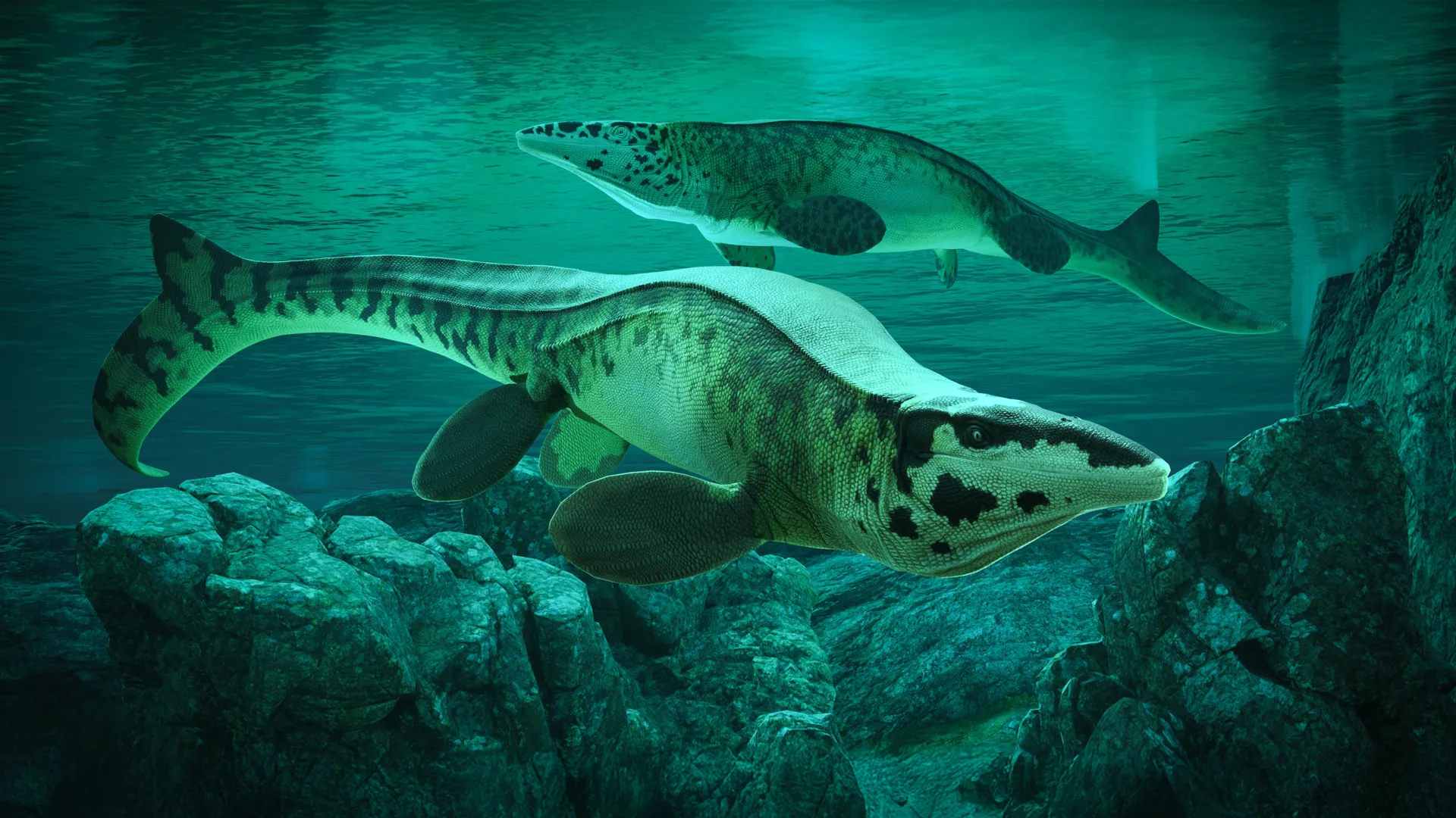Scientists discover giant sea predator Tylosaurus rex that terrorized ancient oceans