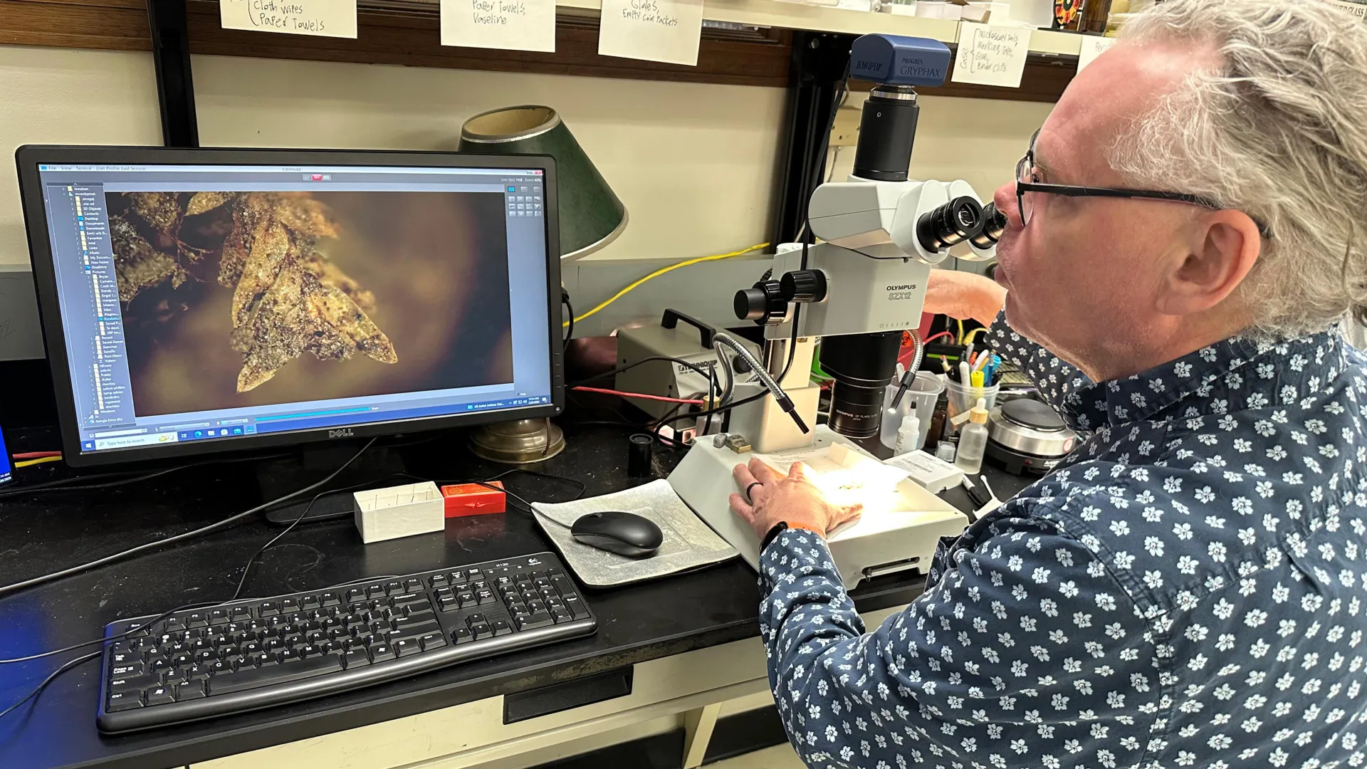 Moss Helped Solve a Cemetery Crime